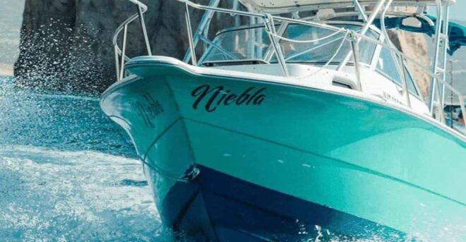Cabo San Lucas: 26 Sea Pro Niebla Fishing Charter - Fishing Experience Highlights