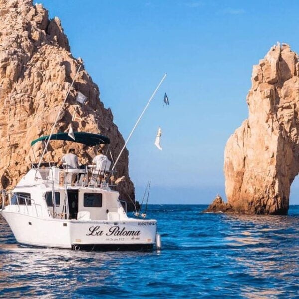Cabo San Lucas: 33 Bertram La Paloma Fishing Charter - Catch and Cuisine