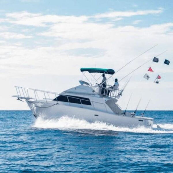 Cabo San Lucas: 33 Bertram La Paloma Fishing Charter - Experienced Crew
