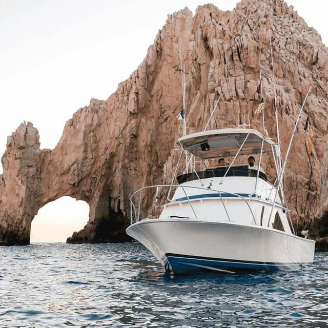 Cabo San Lucas: 33 Blackfin Wahoo! Fishing Charter - Pricing and Reservations