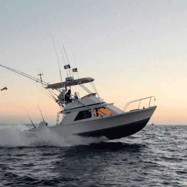 Cabo San Lucas: 33 Blackfin Wahoo! Fishing Charter - Fishing Experience