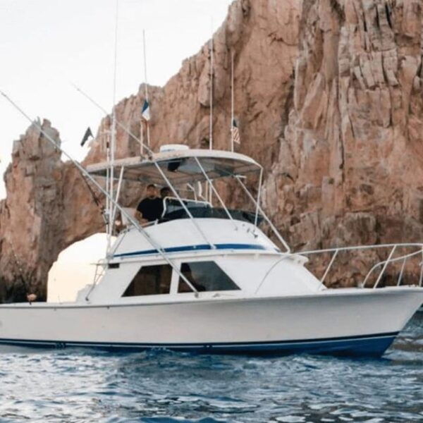 Cabo San Lucas: 33 Blackfin Wahoo! Fishing Charter - Tour Highlights