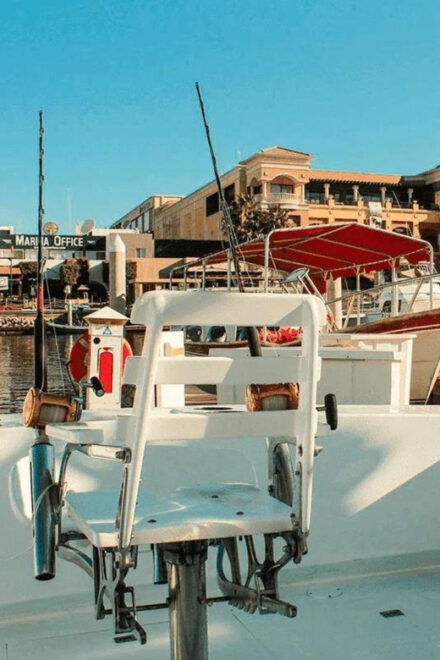 Cabo San Lucas: 38 Striker Reel Medicine Fishing Charter - Catch of the Day