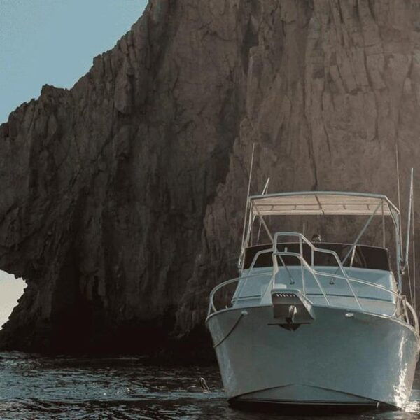 Cabo San Lucas: 38 Striker Reel Medicine Fishing Charter - Why Choose This Charter