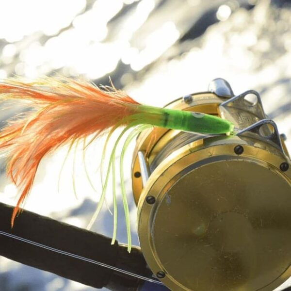 Cabo San Lucas: 38 Striker Reel Medicine Fishing Charter - Frequently Asked Questions