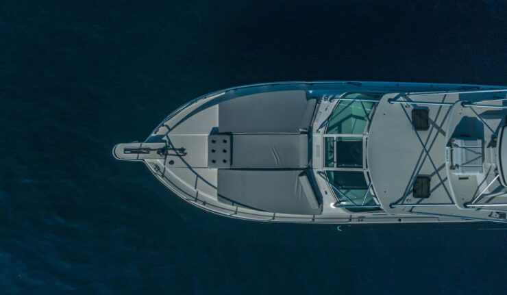 Cabo San Lucas: Arch Boat Tour Whale Watching Safari - Boat Tour Overview