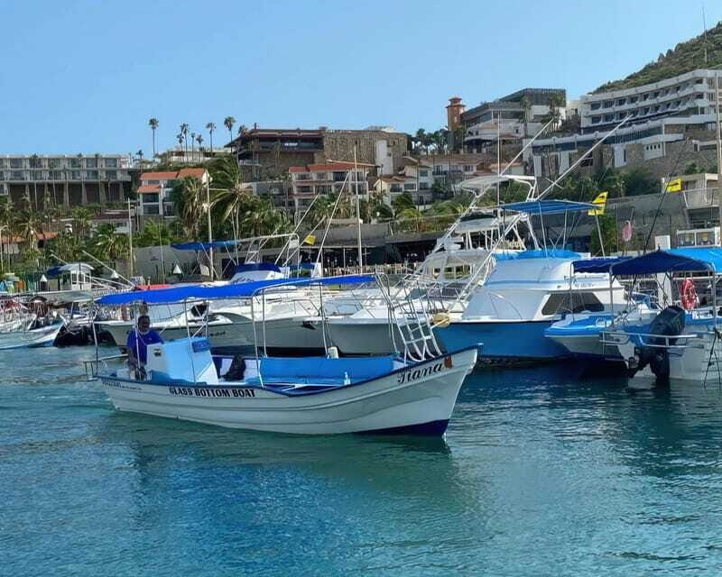 Cabo San Lucas: Arch Tour Glass Bottom Boat - The Experience’s Value and Cost