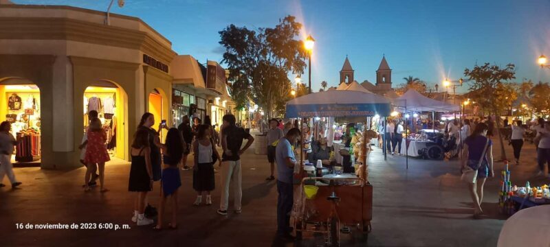Cabo San Lucas: Art Walk in San Jose del Cabo - Who This Tour Is Best For