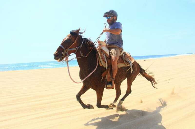 Cabo San Lucas: ATV/Camel/Horse Combo Tour - Who Is This Tour Best Suited For?