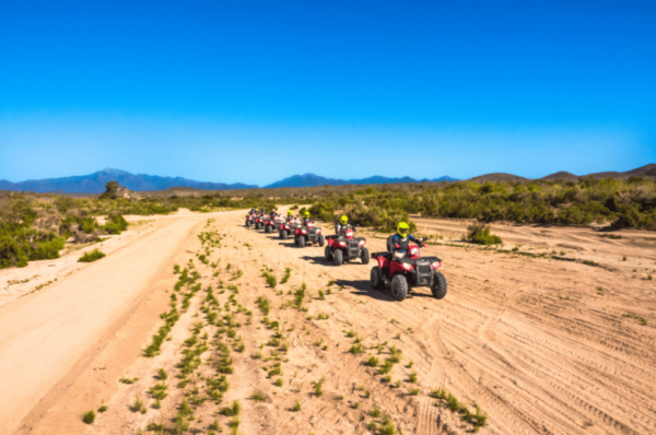 Cabo San Lucas: ATV Desert Adventure & Mexican Buffet - What to Expect