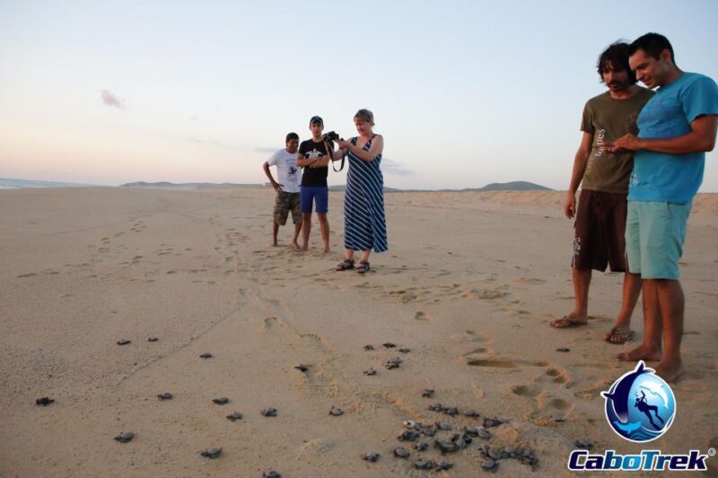 Cabo San Lucas: Baby Turtle Release Experience - Final Thoughts
