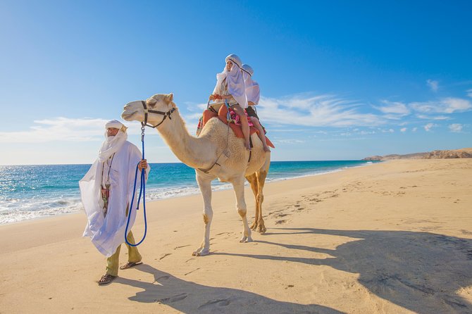 Cabo San Lucas Baja Desert Camel Ride - Traveler Photos and Reviews