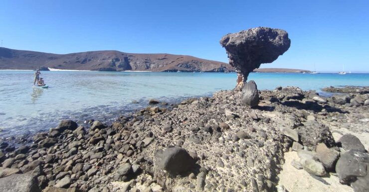 Cabo San Lucas: Balandra Beach and City Tour - Good To Know