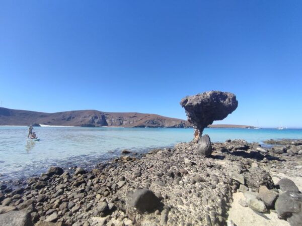 Cabo San Lucas: Balandra Beach and City Tour - Free Cancellation Policy