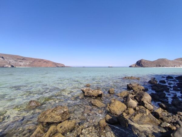 Cabo San Lucas: Balandra Beach and City Tour - Included Meals and Amenities