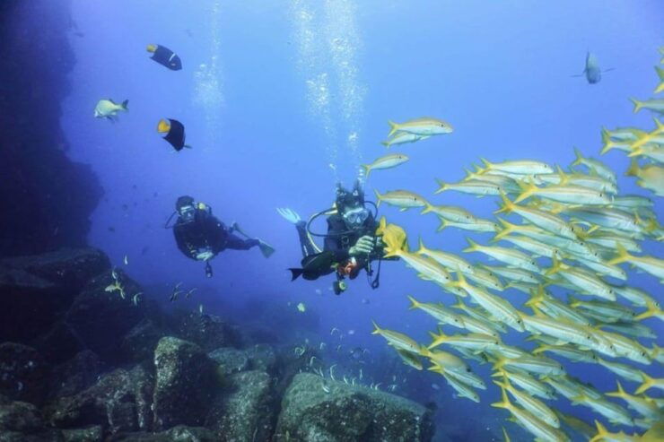 Cabo San Lucas Bay: SCUBA Dive X2 Tanks - Good To Know