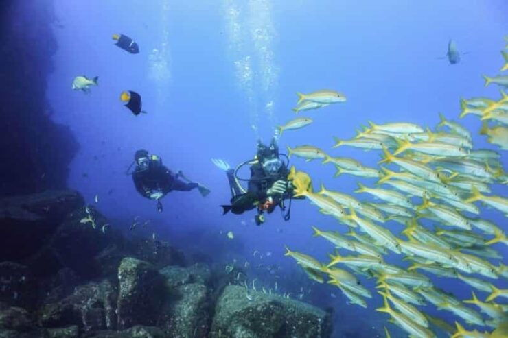 Cabo San Lucas Bay: SCUBA Dive X2 Tanks - Good To Know