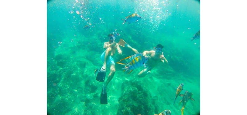 Cabo San Lucas: Beach Hopper Small-Group Snorkeling Tour - A Deep Dive into the Value