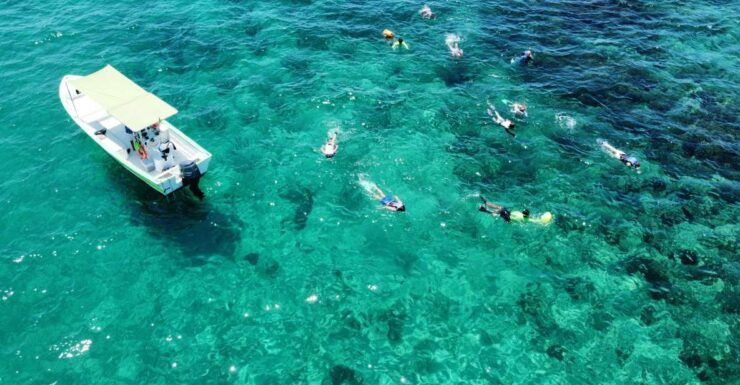 Cabo San Lucas: Boat Ride and Snorkeling Trip With Snacks - Activity Details