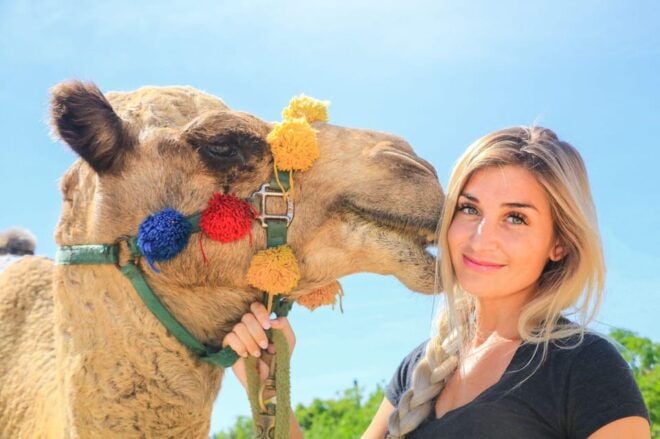 Cabo San Lucas: Cabo Arch and Camels Adventure Combo - Inclusions and Exclusions