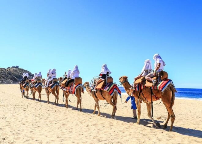 Cabo San Lucas: Cabo Arch and Camels Adventure Combo - Important Information and Restrictions