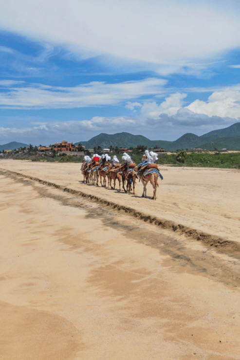 Cabo San Lucas: Camel Ride & ATV With Mexican Lunch - Good To Know