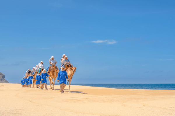 Cabo San Lucas: Camel Ride & ATV With Mexican Lunch - Thrilling ATV Adventures