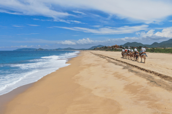 Cabo San Lucas: Camel Ride & ATV With Mexican Lunch - Camel Ride Along the Pacific