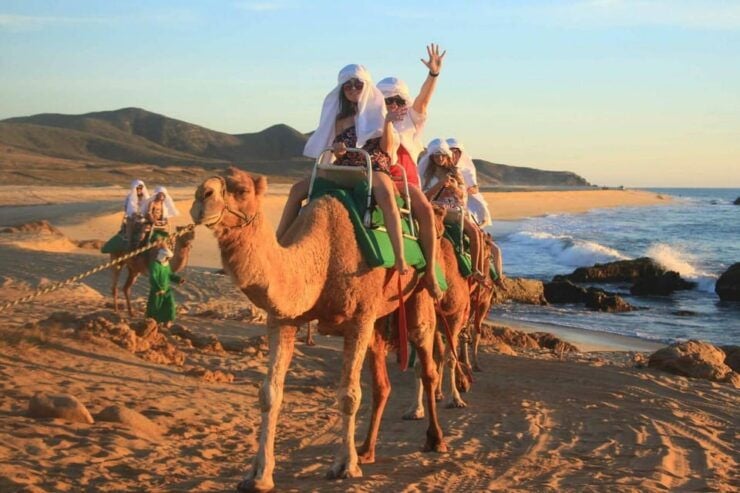 Cabo San Lucas: Camel Ride on the Beach - Experience Highlights