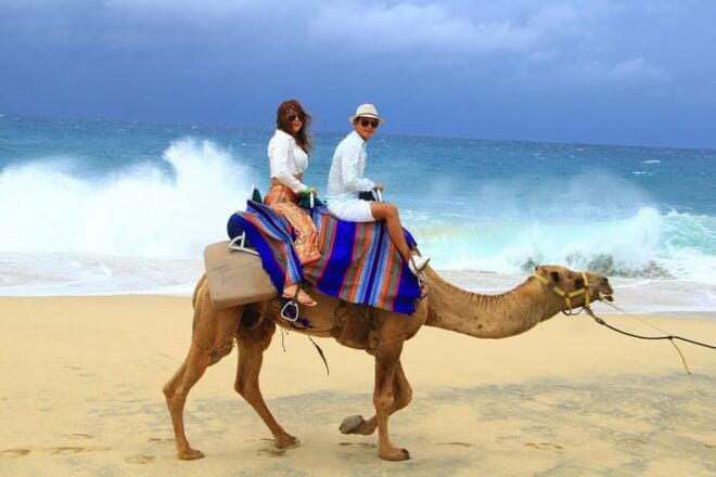 Cabo San Lucas: Camel Ride on the Beach - Included Amenities and Upgrades