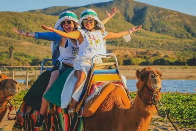 Cabo San Lucas: Camel Ride on the Beach - Important Information and Restrictions