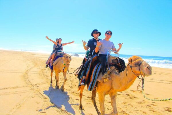 Cabo San Lucas: Camel Ride on the Beach - Camel Ride on the Beach