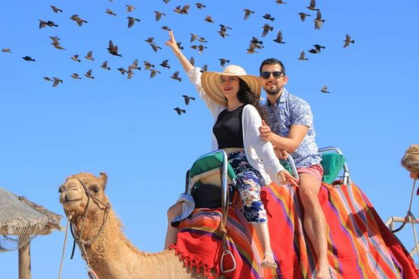 Cabo San Lucas: Camel Ride on the Beach - Tequila Tasting Experience
