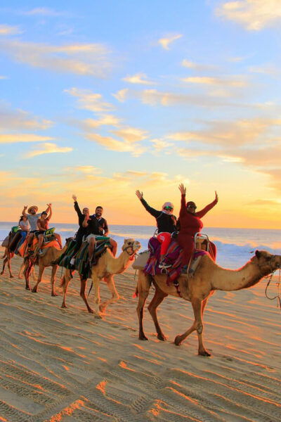 Cabo San Lucas: Camel Ride on the Beach - Frequently Asked Questions