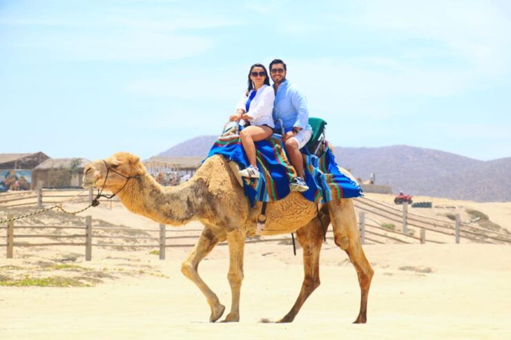 Cabo San Lucas: Camel Riding Experience With Snacks - Experience Highlights