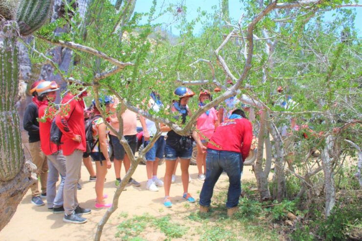 Cabo San Lucas: Candelaria RAZOR Adventure - Activity Details