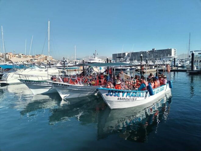 Cabo San Lucas: Classic Tour to the Arch in Glass Bottom - Visiting the Famous Arch