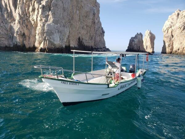 Cabo San Lucas: Classic Tour to the Arch in Glass Bottom - Frequently Asked Questions