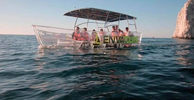 Cabo San Lucas: Clear Boat Tour - Admiring Marine Life