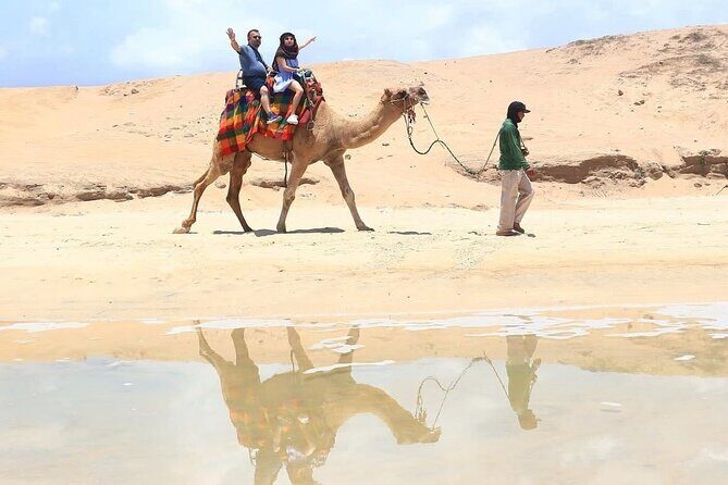 Cabo San Lucas Combo 2 in 1 Skybikes, ATV, RZR, Horses or Camel - A Detailed Look at the Cabo San Lucas Combo Tour