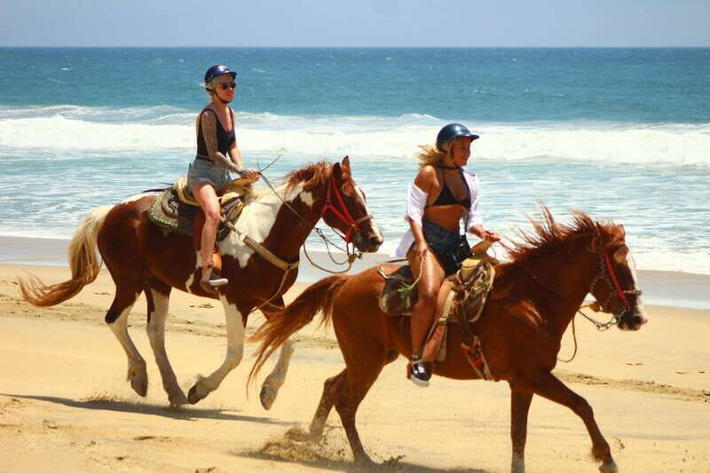 Cabo San Lucas :Combo ATV&Horseback riding with transfer - Introducing the Cabo San Lucas Combo ATV & Horseback Riding Tour