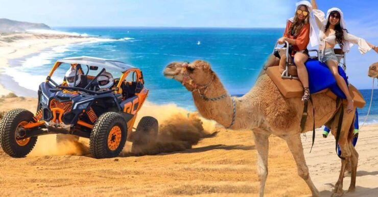 Cabo San Lucas: Combo Camel Ride & Off-Road UTV Adventure - Booking and Logistics Details