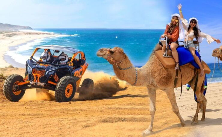 Cabo San Lucas: Combo Camel Ride & Off-Road UTV Adventure - Experience Highlights