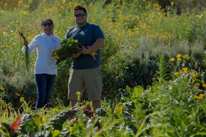 Cabo San Lucas Cooking Classes by Chef Ari - Practical Details That Matter