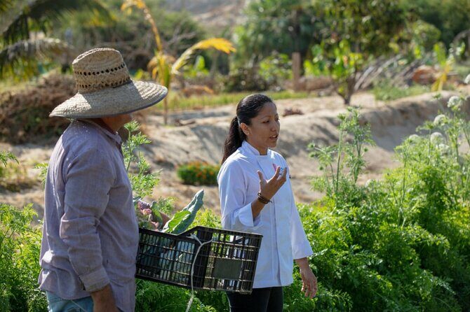 Cabo San Lucas Cooking Classes by Chef Ari - Final Thoughts: Who Will Love This Experience?