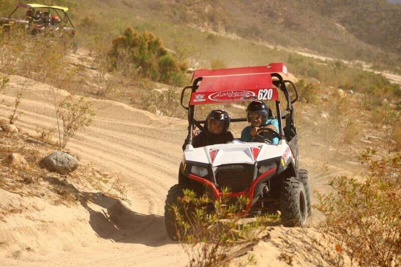 Cabo San Lucas: Desert and Beach RZR and Horseback Riding - Practical Details and Tips  