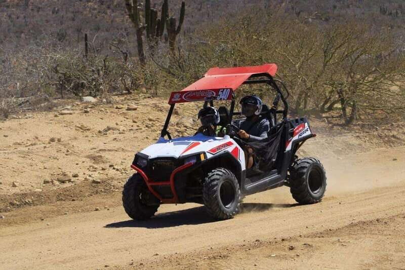 Cabo San Lucas: Desert and Beach RZR and Horseback Riding - Who Will Love This Tour?  