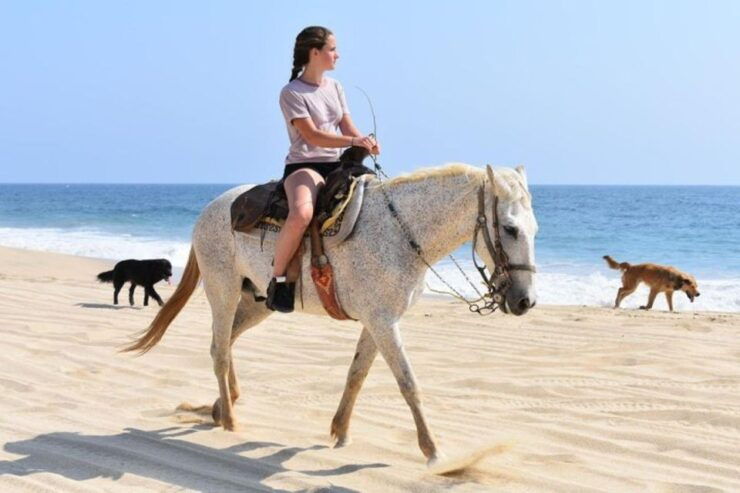 Cabo San Lucas: Desert ATV & Beach Horseback Combo - Activity Details