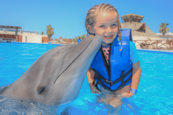 Cabo San Lucas: Dolphin Family Encounter - Restrictions