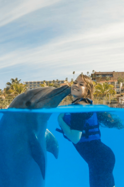 Cabo San Lucas: Dolphin Premium Swim Interactive Adventure - Booking and Cancellation